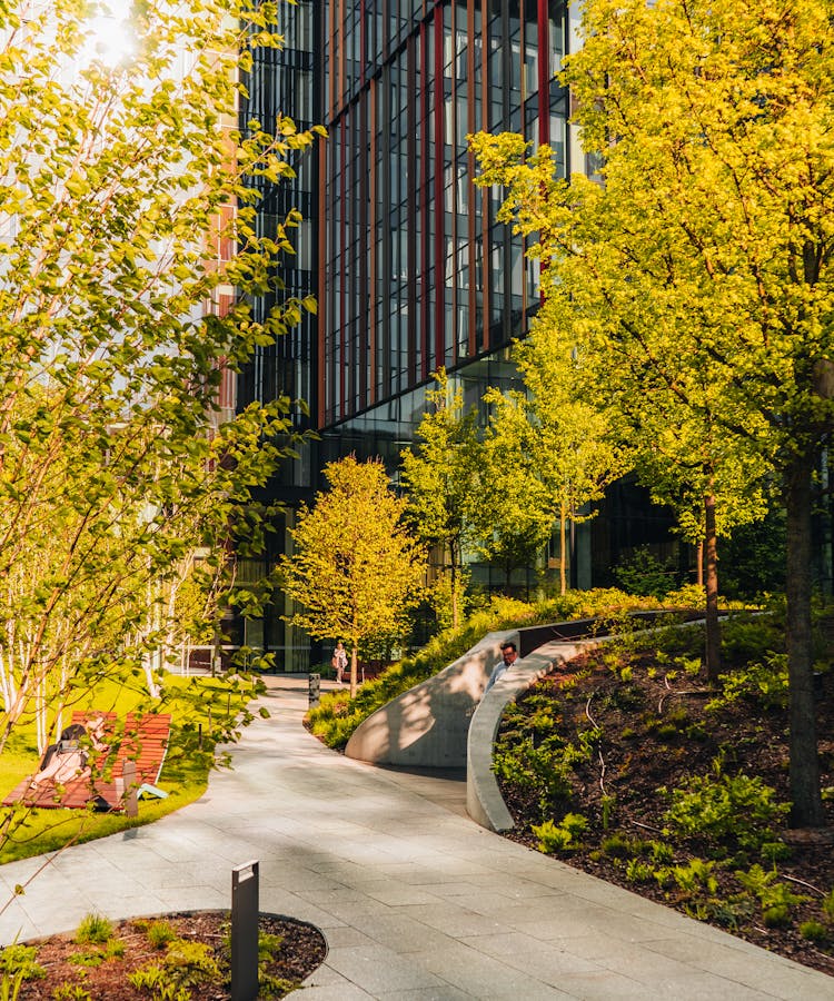 pexels-photo-19975456